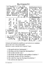 Buntspecht.pdf